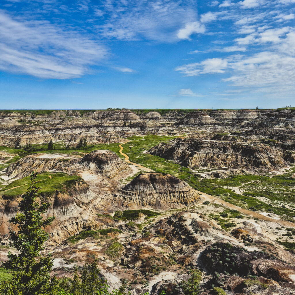 Overlooking Horse Shoe Canyon in Drumheller, Alberta. There are many coulees dotting the landscape.