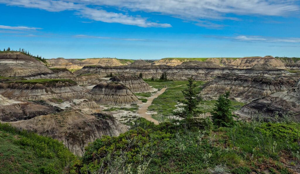 Horseshoe Canyon from above. There is a hiking path cutting between the coulees.
