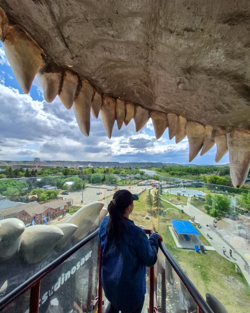 Alina inside the jaws of Tyra the T-Rex. There is railings and glass protecting people from falling out of the World's Largest Dinosaur.