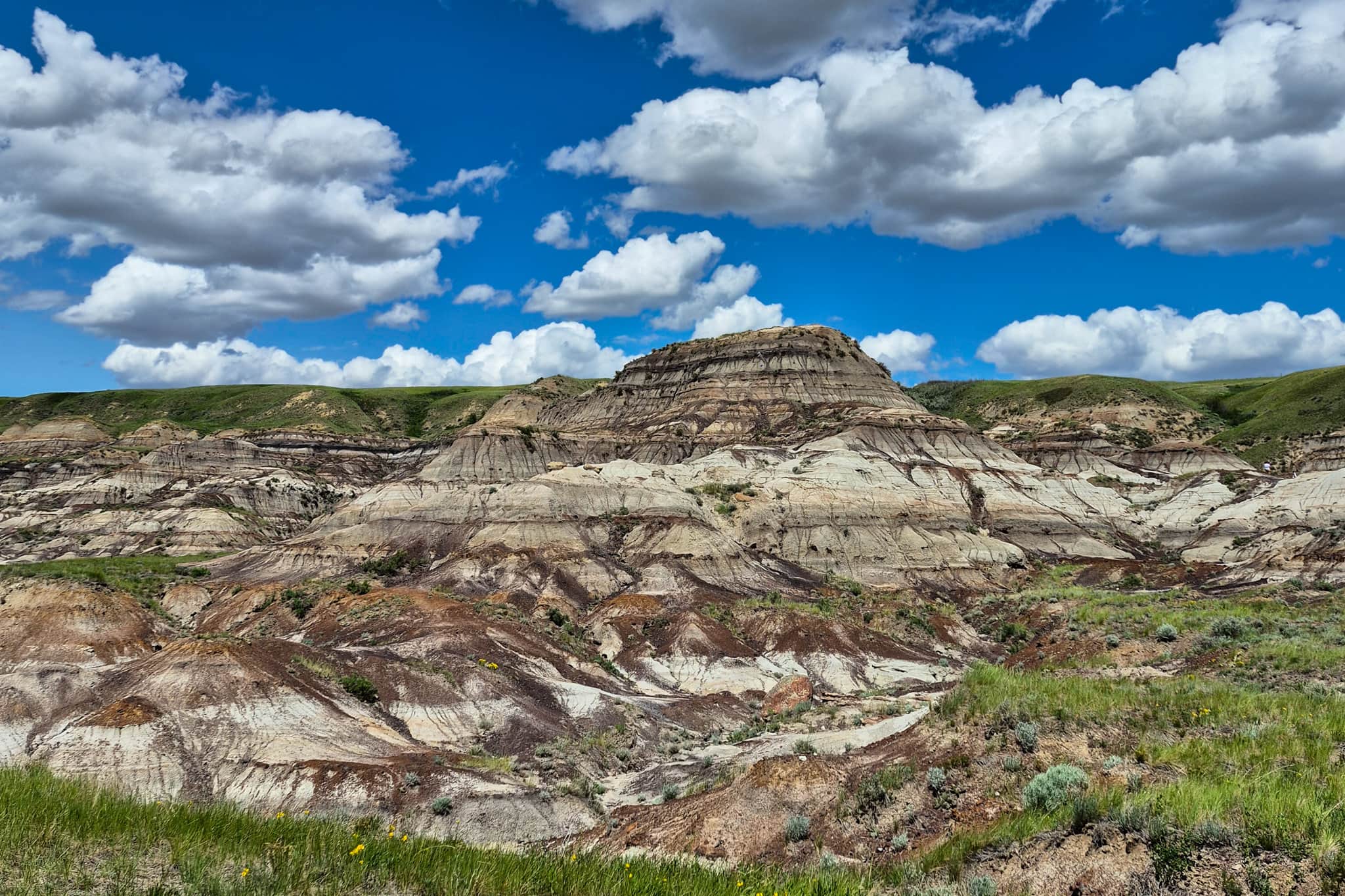 Scenery along the Badlands Interpretive Trail. There are many rolling hills with layers of different coloured rocks.