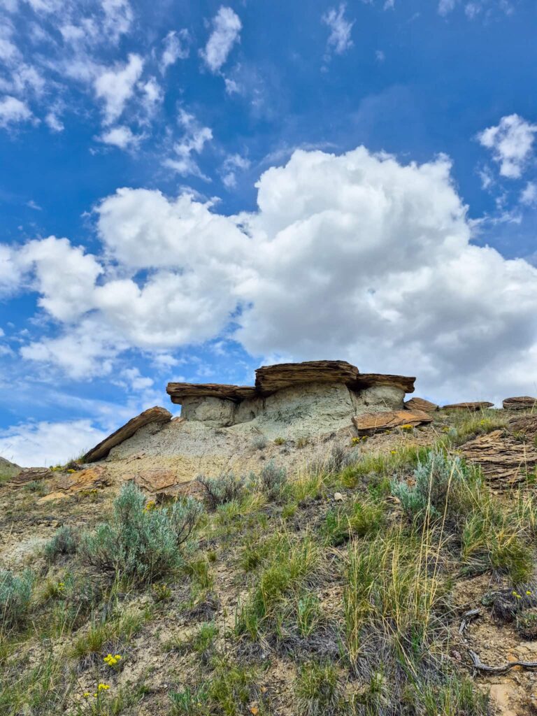 4 small hoodoos along a trail in Dinosaur Provincial Park. One of the hoodoos has eroded and its stone cap has fallen.