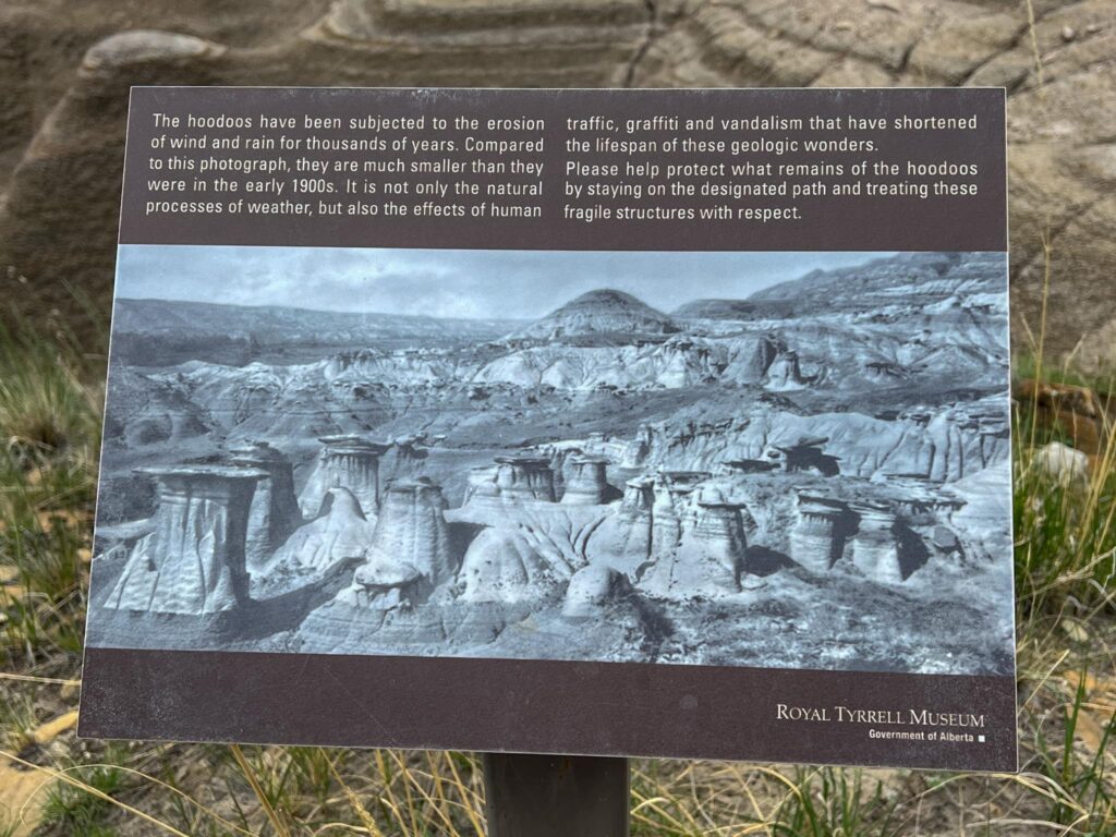 Sign explaining Hoodoo Erosion. There is an old photo of what the hoodoos look liked in the early 1900s, they are much less eroded. It says "The hoodoos have been subjected to the erosion of wind and rain for thousands of years. Compared to this photograph, they are much smaller than they were in the early 1900s. It is not only the natural processes of weather, but also the effects of human traffic, graffiti and vandalism that have shortened the lifespan of these geologic wonders. Please help protect what remains of the hoodoos by staying on the designated path and treating these fragile structures with respect."