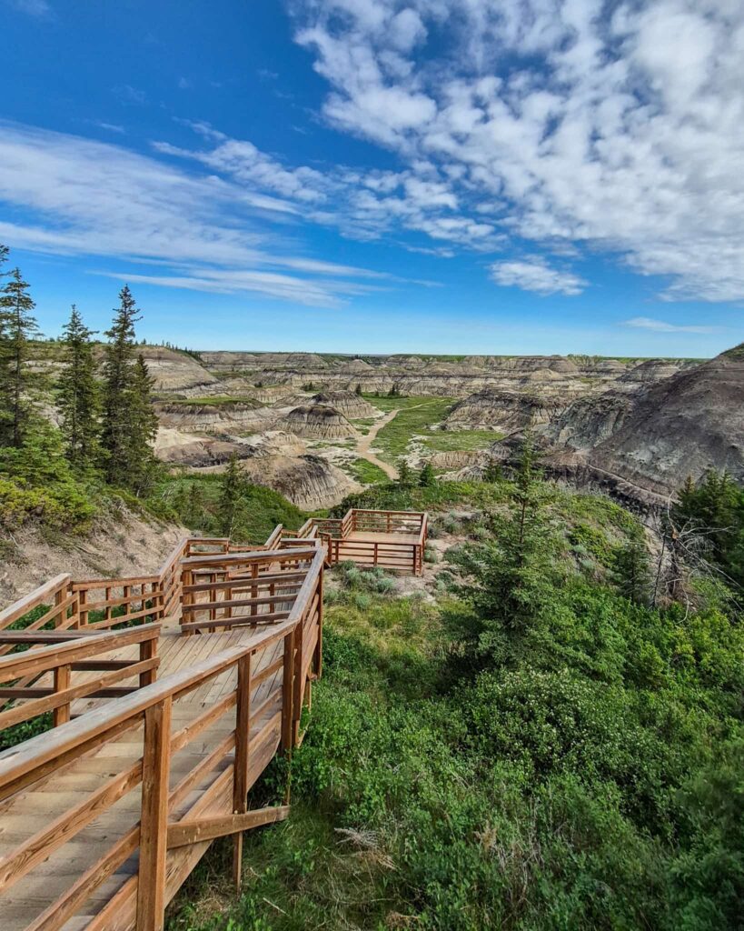 Wooden stairs descending into Horseshoe Canyon.