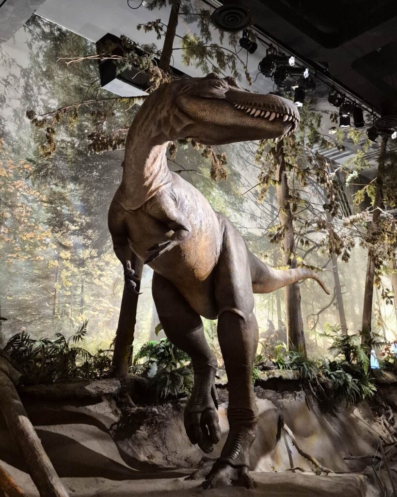 A carnivorous dinosaur statue in the Royal Tyrrell Museum.