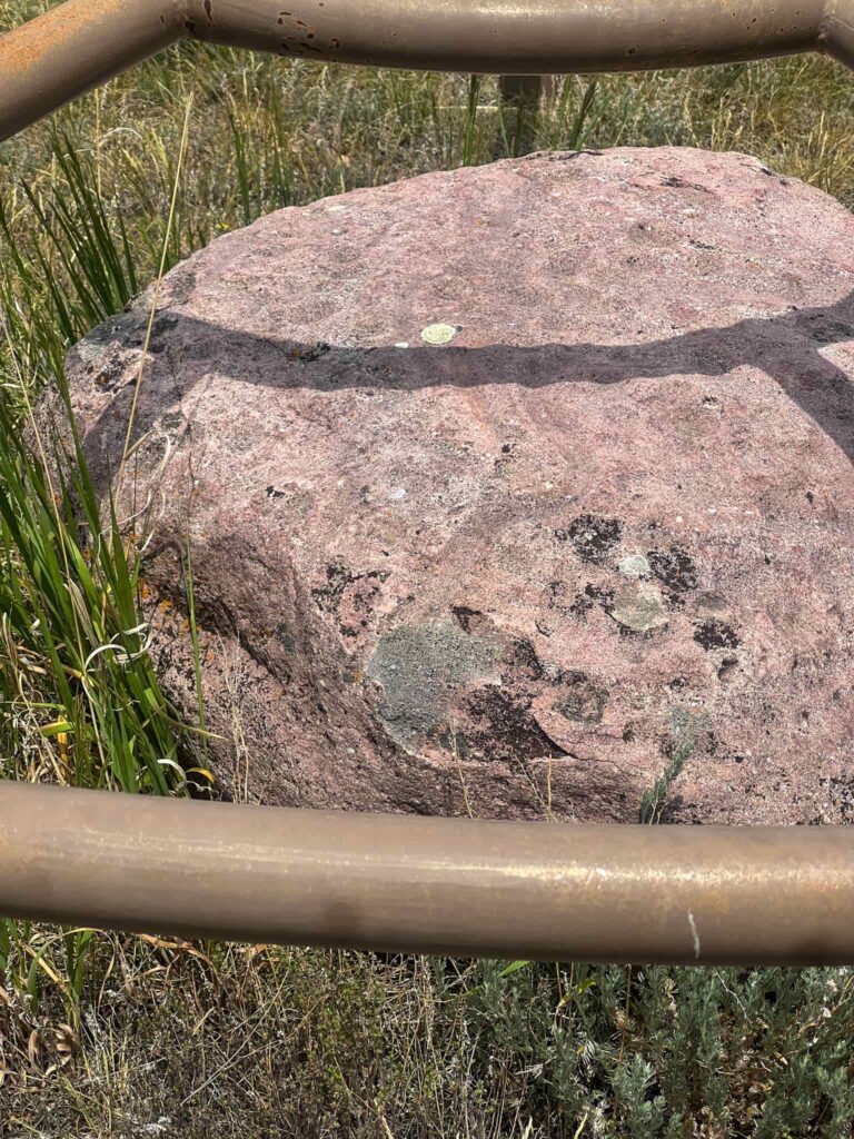 An up close shot of a small pink boulder. You can see indentations around the boulder which are actually Indigenous carvings.