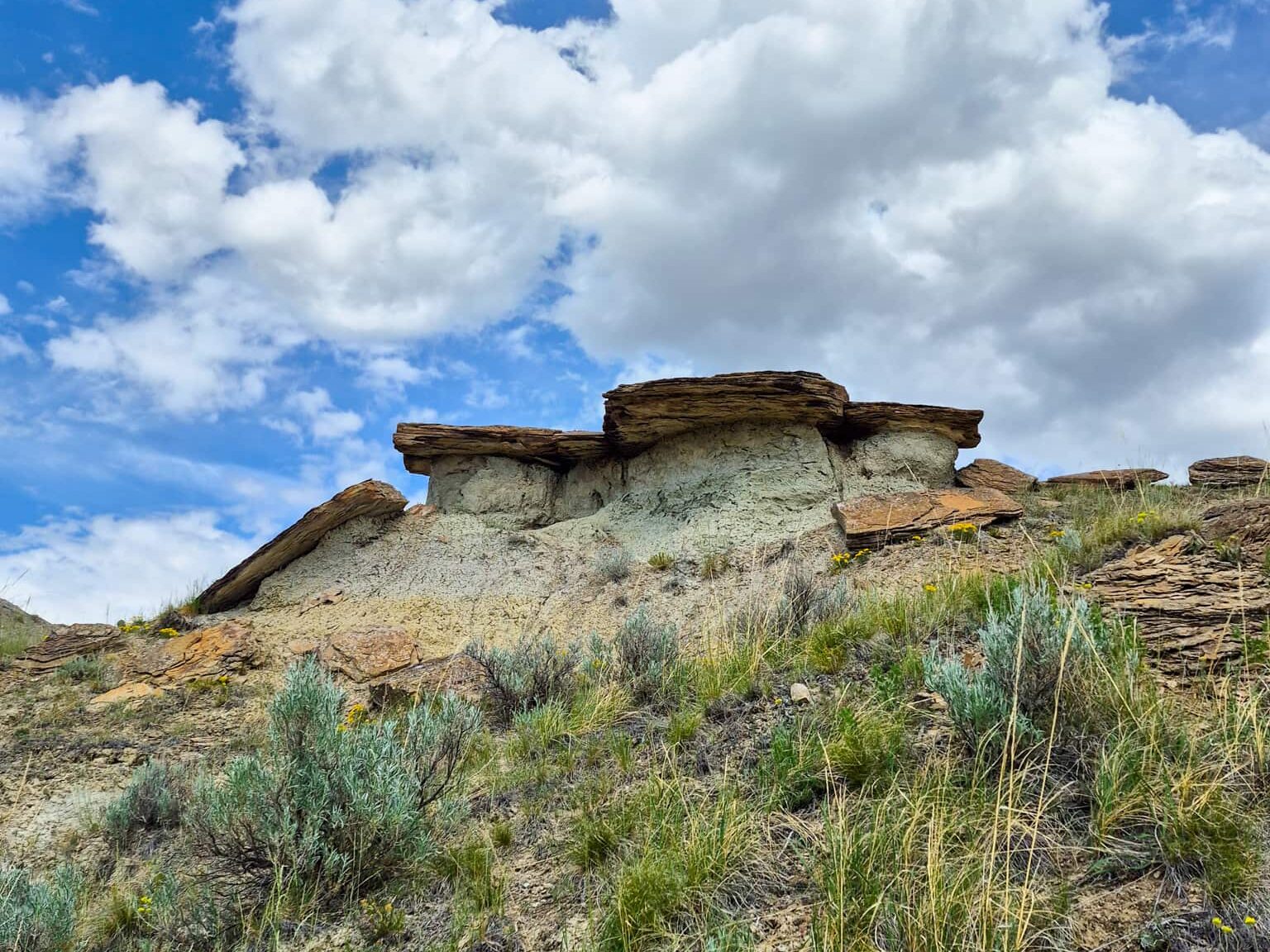 4 small hoodoos along a trail in Dinosaur Provincial Park. One of the hoodoos has eroded and its stone cap has fallen.