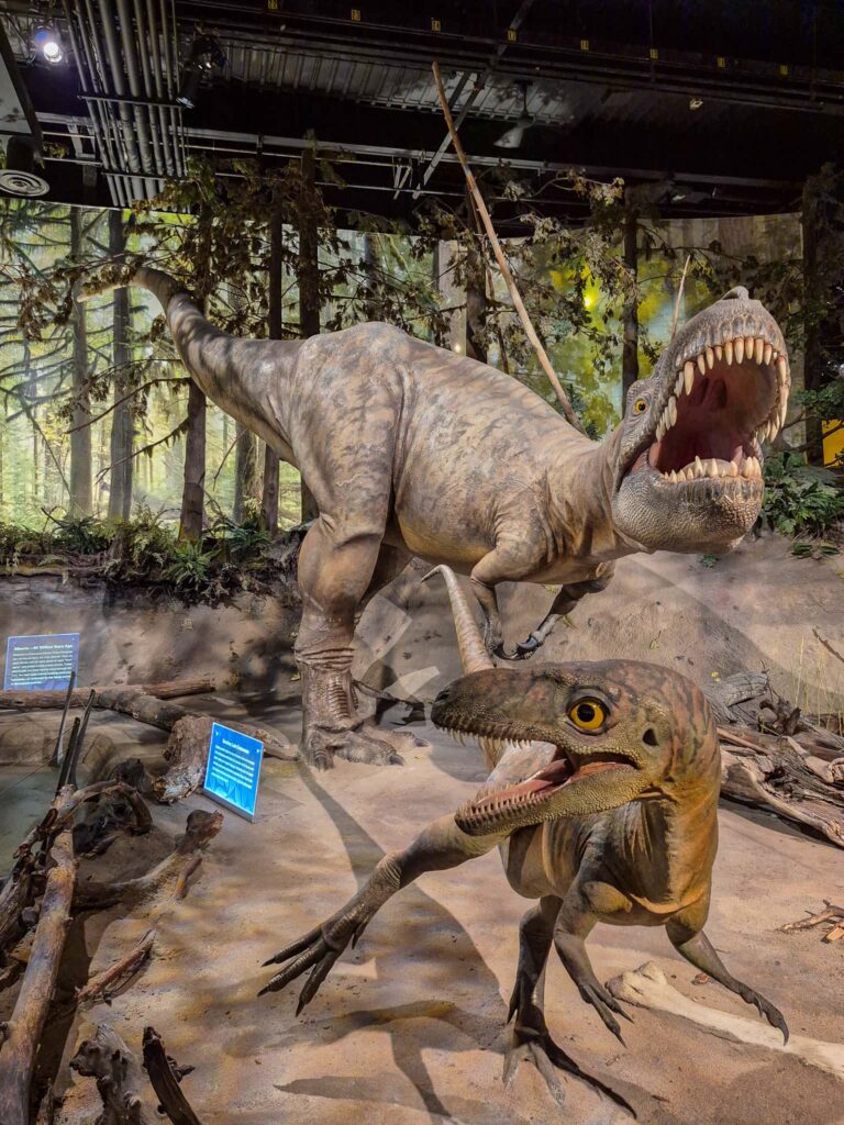A mother and baby Albertosaurus from the Royal Tyrrell Museum.