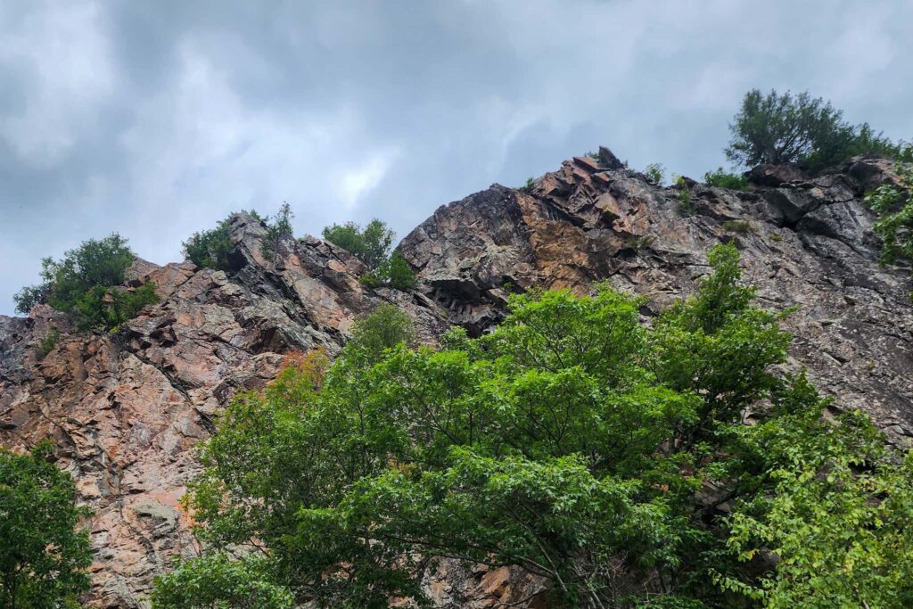 The top of Mazinaw Rock as shown from the lake.